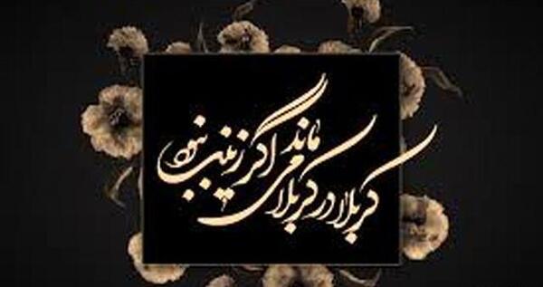 عکس شب وفات حضرت زینب