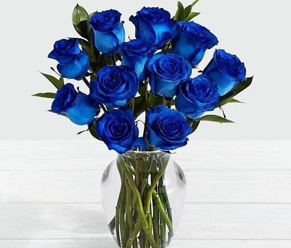 عکس گل آبی برای پروفایل