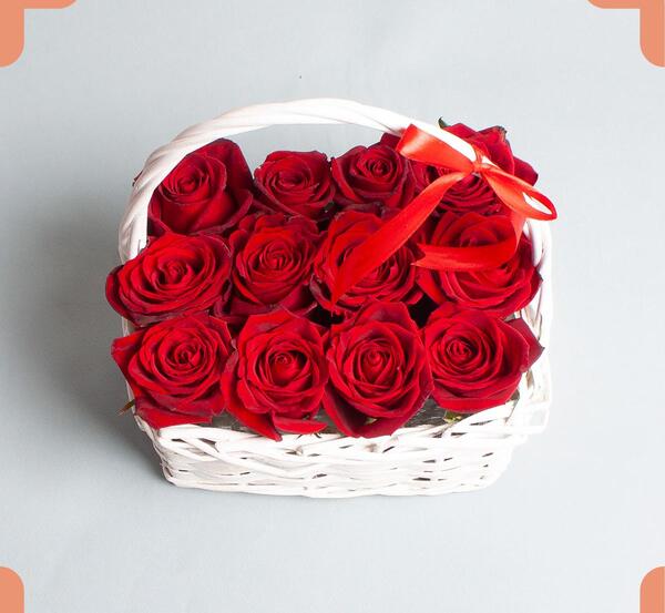 عکس گل رز شیک و زیبا