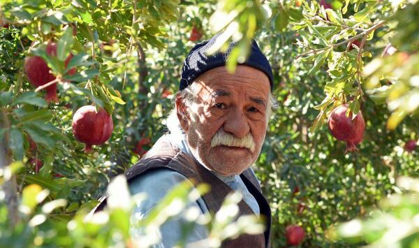 عکس سعید پورصمیمی