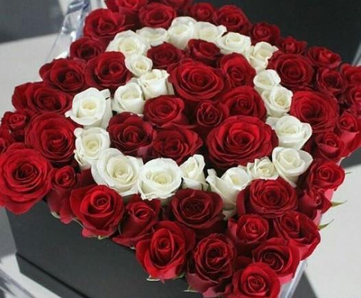 عکس گلهای زیبا قشنگ