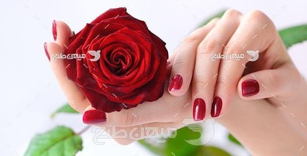عکس گلهای زیبا قشنگ