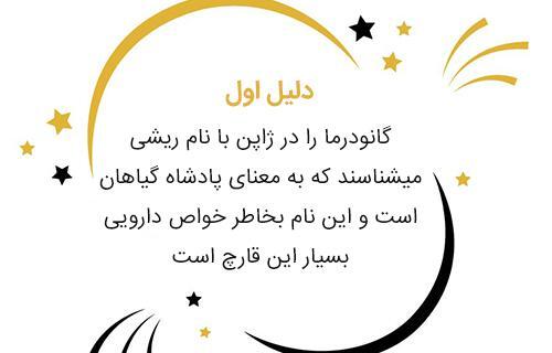 عکس قهوه گانودرما هات چاکلت