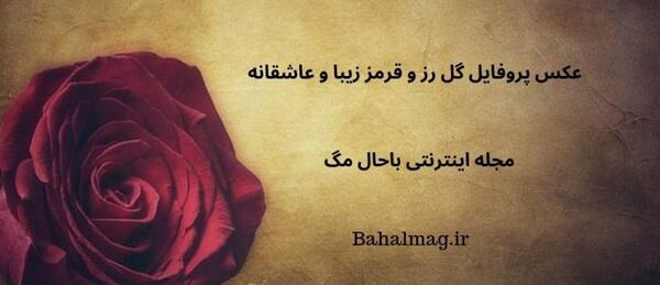 عکس لاتی گل