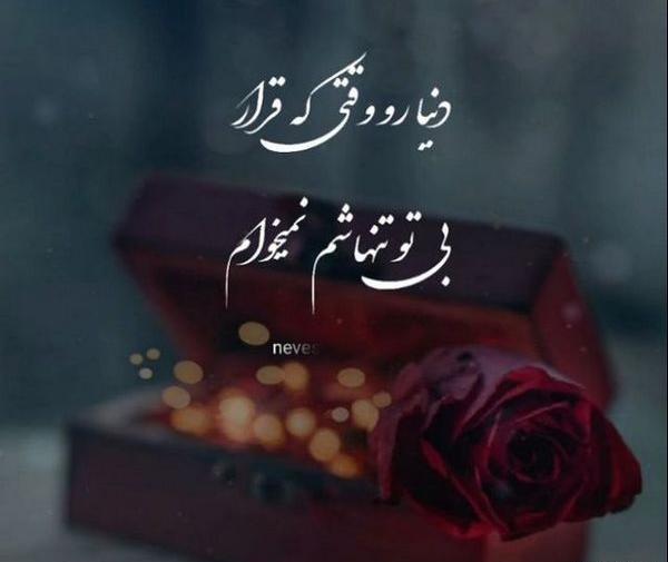 عکس لاتی گل