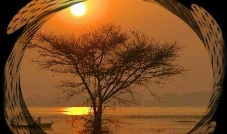 عکس غروب دریا پروفایل