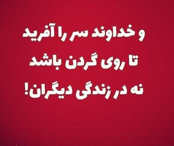 عکس نوشته خداوند سر را آفرید تا روی گردنتان باشد