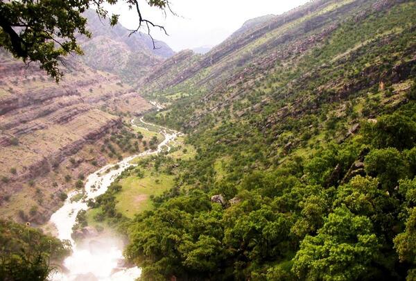 عکس طبیعت شیرین بهار