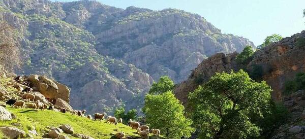 عکس طبیعت شیرین بهار