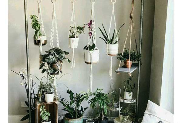 عکس ایده برای گل و گیاه