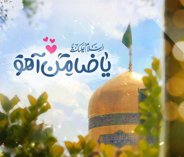 عکس زیبای ضامن آهو