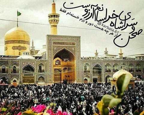 عکس زیبای ضامن آهو