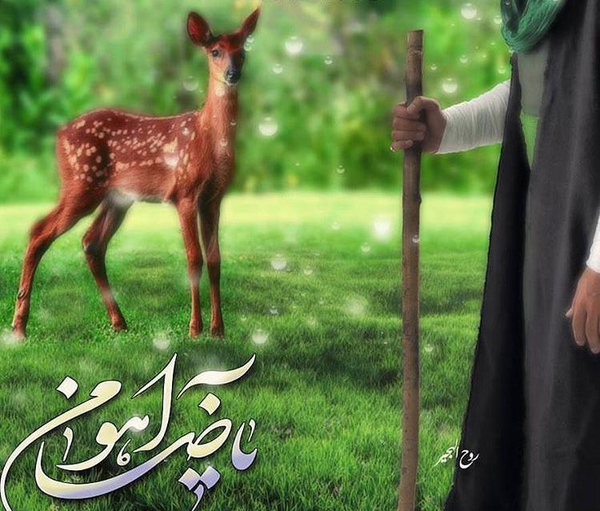 عکس زیبای ضامن آهو