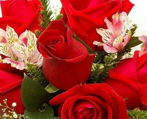 عکس صبح بخیر عربی