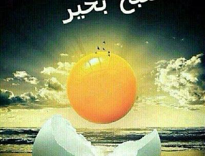 عکس صبح بخیر عربی