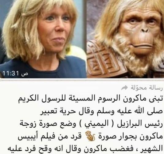 عکس میمون و همسر مکرون
