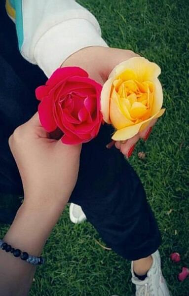 عکس فیک دخترونه با گل