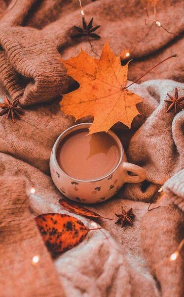عکس قهوه ای دخترانه