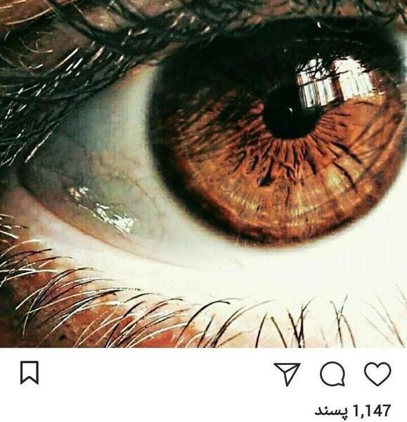 عکس قهوه ای دخترانه