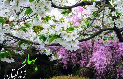 عکس نوشته از بهار