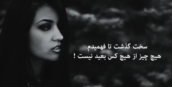 عکس غمگین شاخ