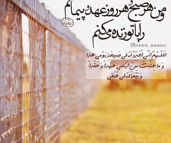 عکس نوشته از پیمان