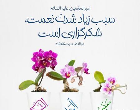 عکس گل نوشته حدیث