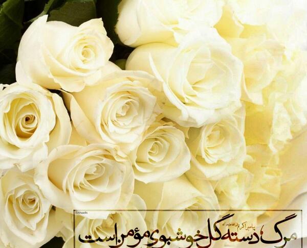 عکس گل نوشته حدیث