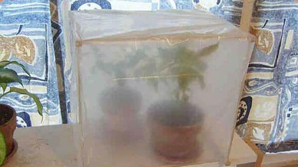 عکس ایده هایی برای ساخت محیط گلخانه ای