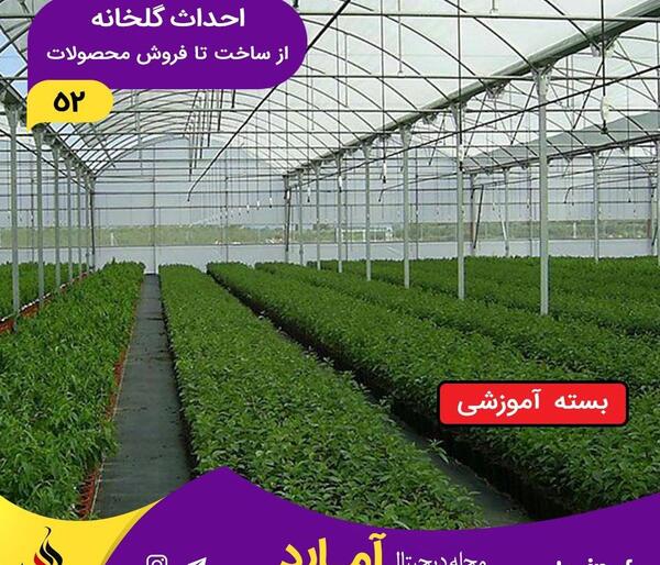 عکس ایده هایی برای ساخت محیط گلخانه ای