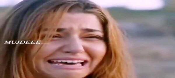 عکس گریه هانده ارچل
