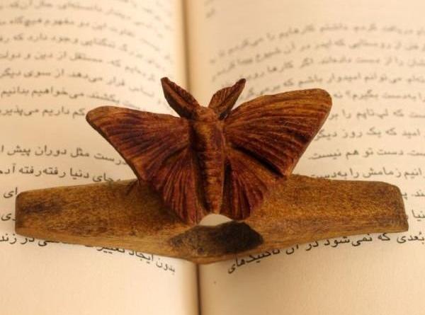 عکس پروانه روی کتاب
