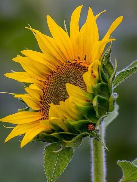 عکس زیبا برای تصویر نمایه واتساپ