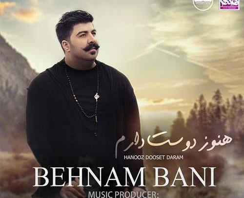 عکس آهنگ بهنام بانی