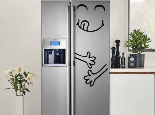 عکس ایده های یخچال