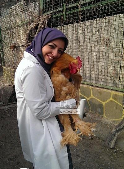 عکس حیوانات نفیسه روشن
