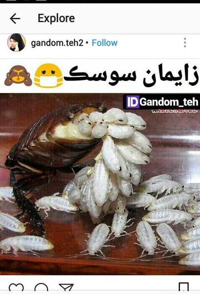 عکس نوشته چاره ساز خداست