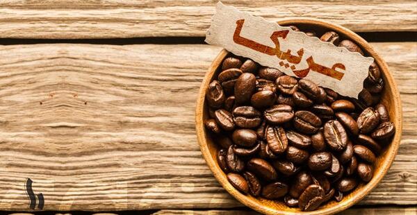 عکس قهوه عربیکا