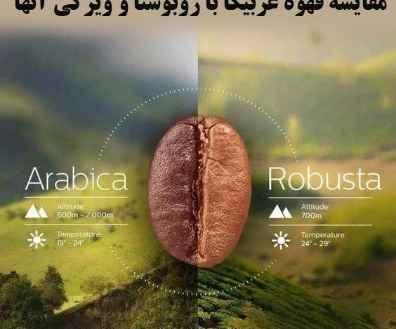 عکس قهوه عربیکا