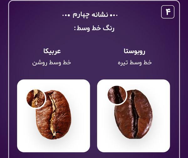 عکس قهوه عربیکا