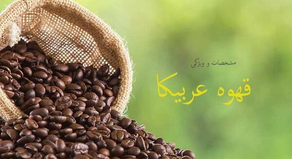 عکس قهوه عربیکا