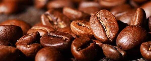 عکس قهوه عربیکا