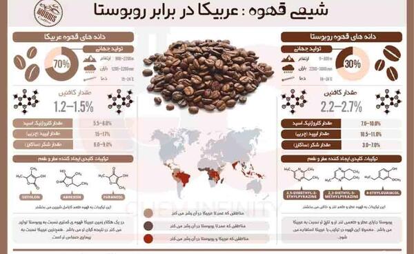 عکس قهوه عربیکا
