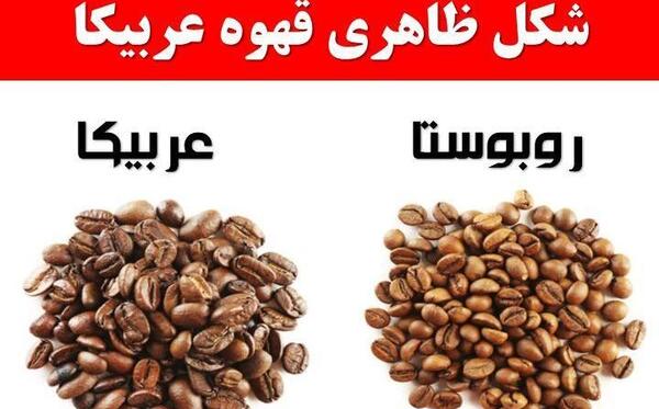 عکس قهوه عربیکا
