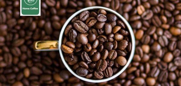 عکس قهوه عربیکا