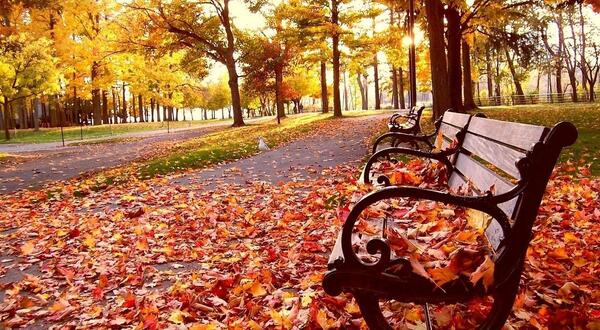 عکس منظره پاییزی برای پروفایل