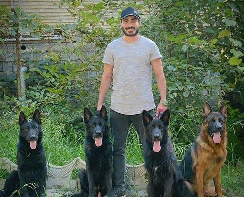عکس محمد امین شعرباف