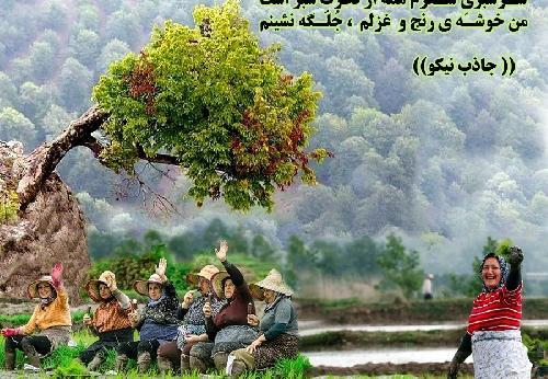 عکس نوشته سرسبزترین بهار تقدیم تو باد