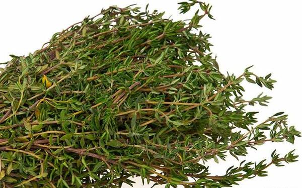 عکس سبزی آویشن
