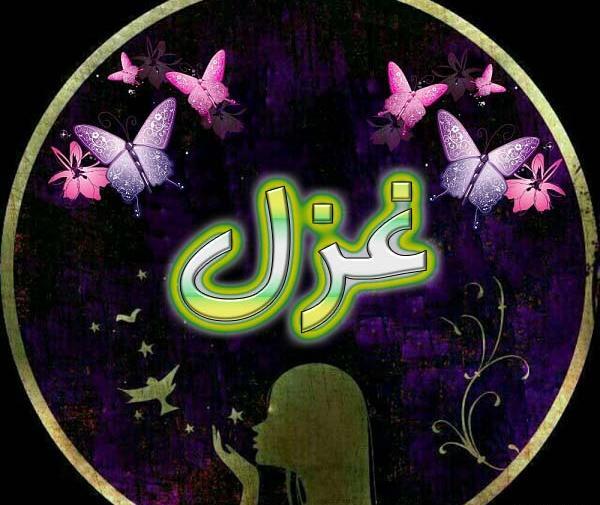 عکس نوشته درباره ی غزل